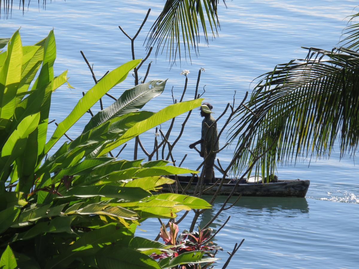 Bed and Breakfast Coral House Punta Gorda Esterno foto